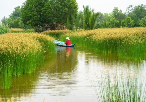 Is this worth doing a Mekong River day tour?