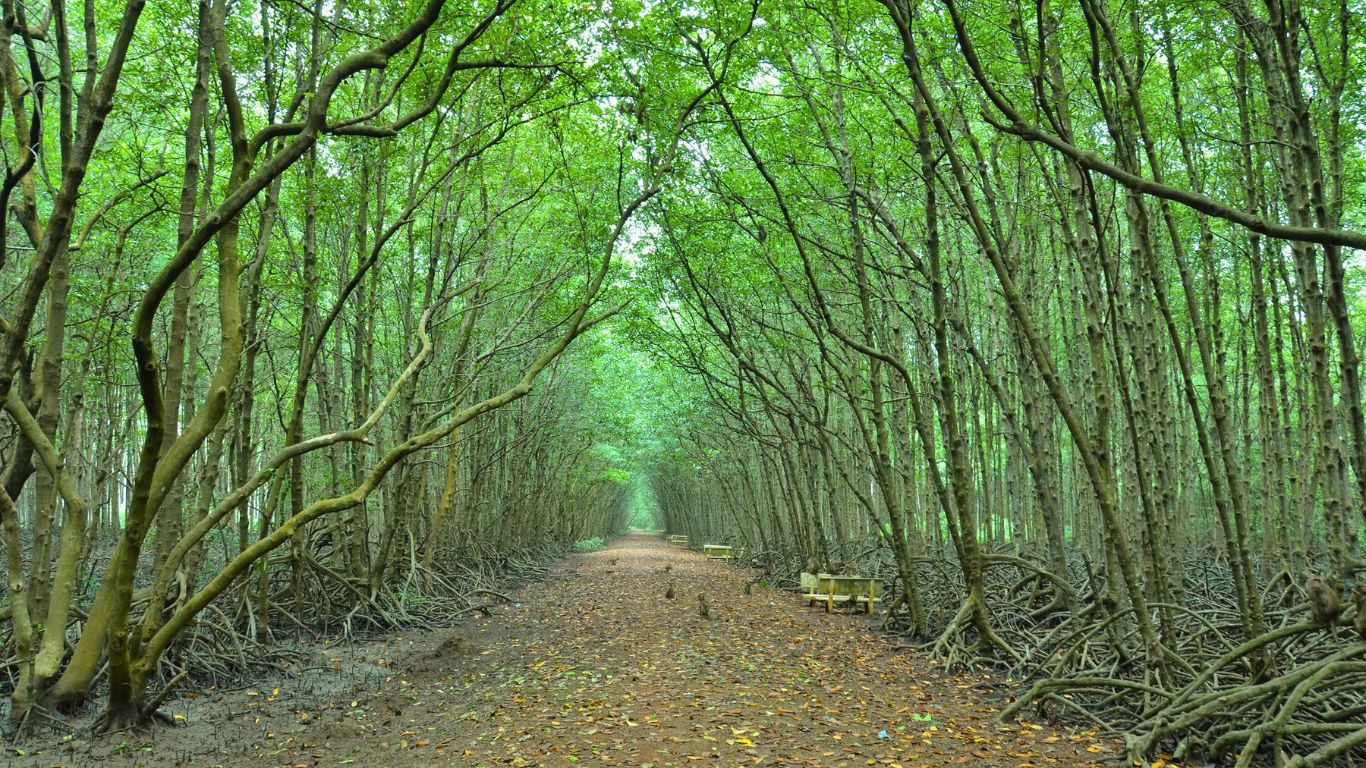 Can Gio Mangrove Biosphere Reserve