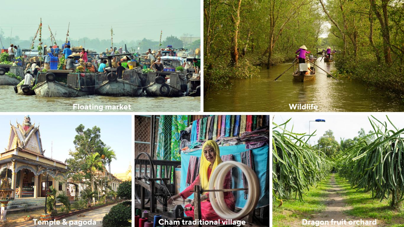 Highlights of Mekong Delta